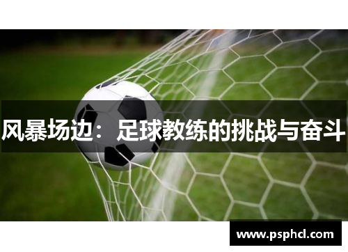 风暴场边：足球教练的挑战与奋斗