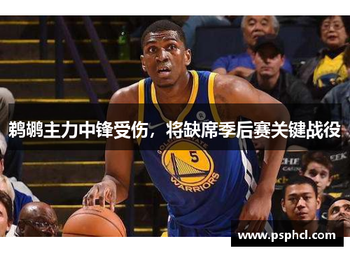 鹈鹕主力中锋受伤，将缺席季后赛关键战役