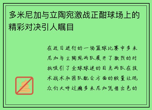 多米尼加与立陶宛激战正酣球场上的精彩对决引人瞩目